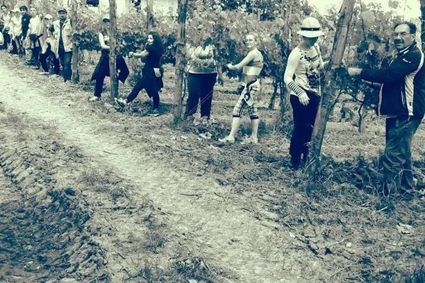 Foto storica Boccella Rosa